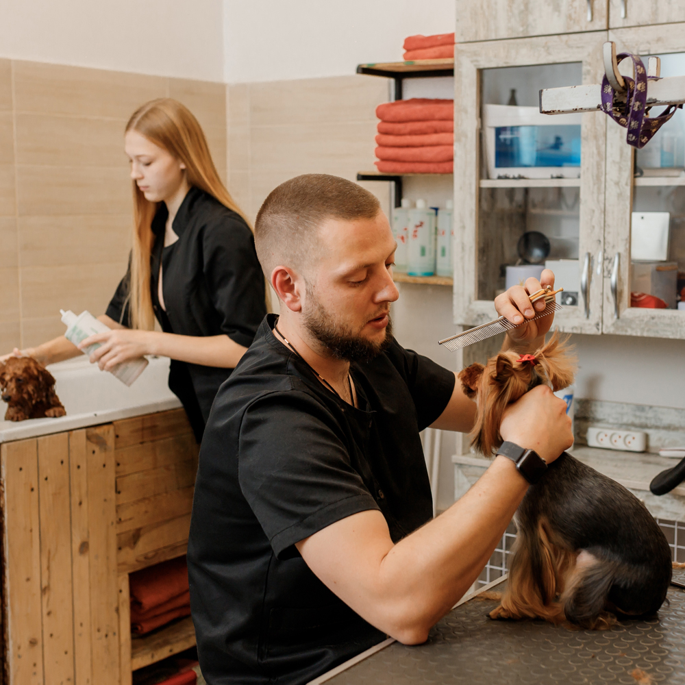 Pet Groomer Insurance New Hampshire