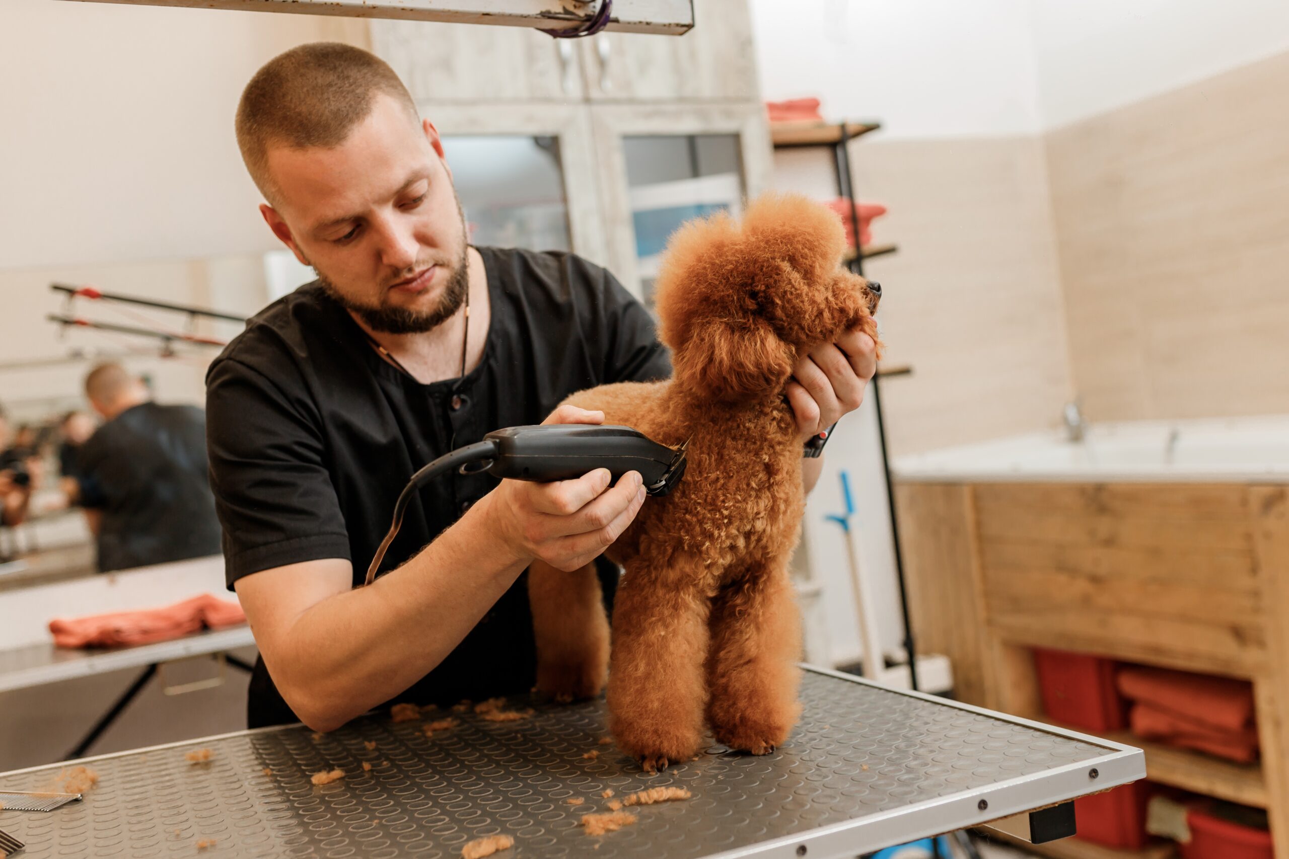 Pet Groomers Insurance