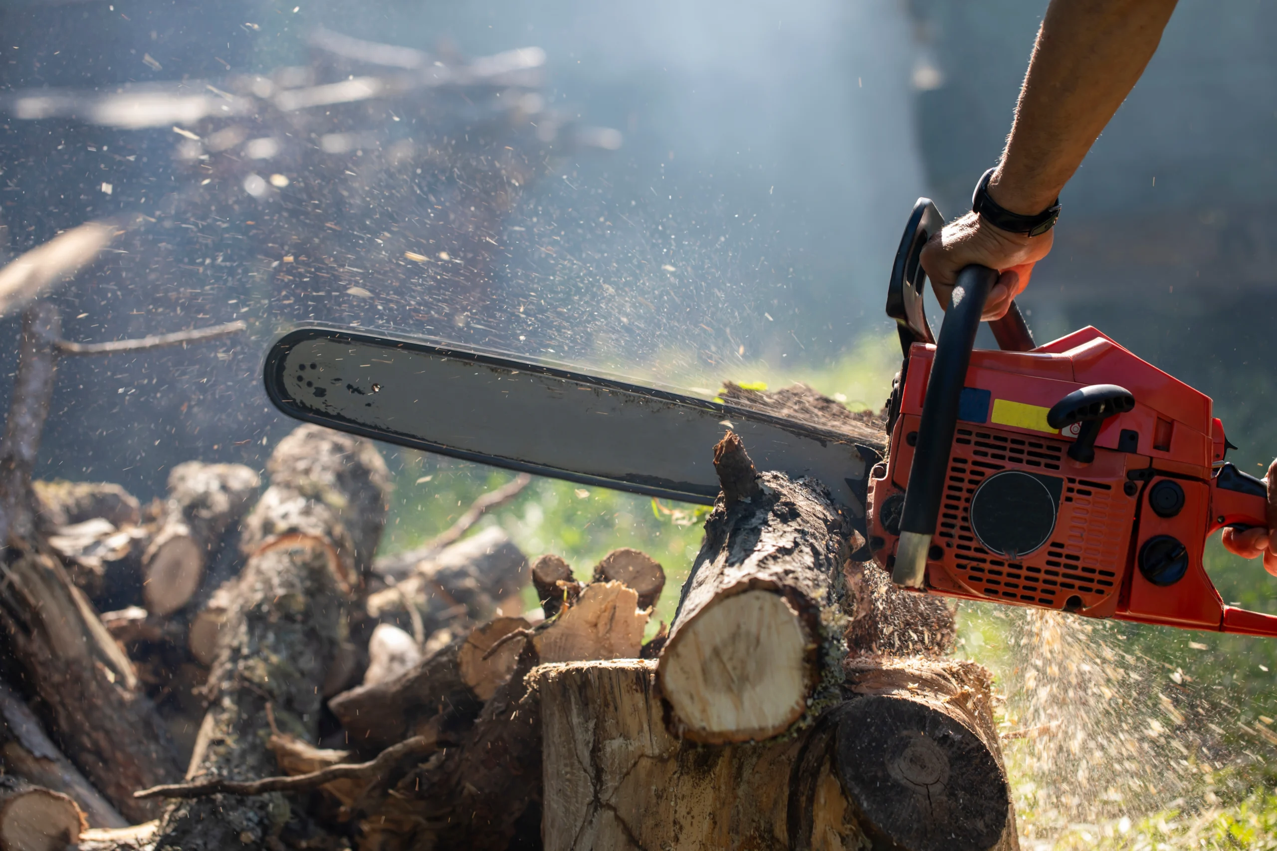 Arborist Insurance New Hampshire