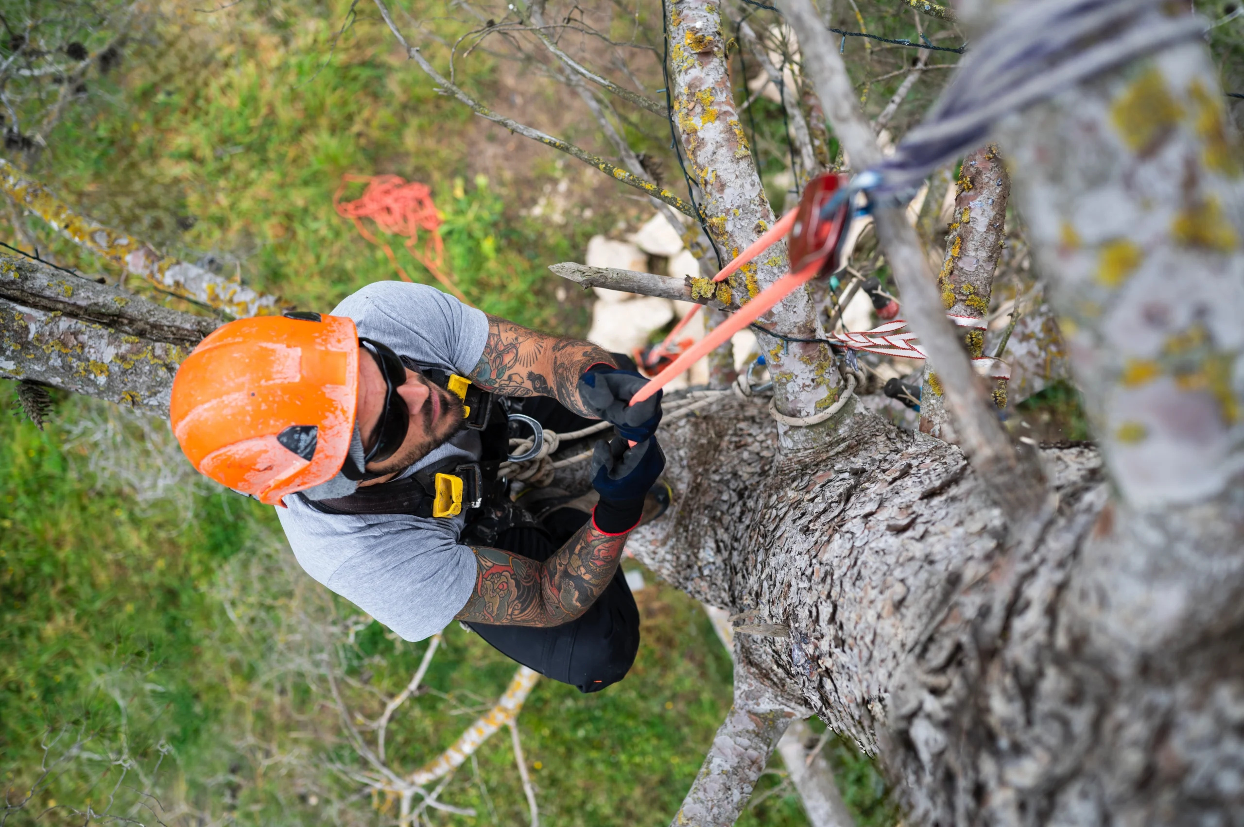 Arborist Insurance New Hampshire