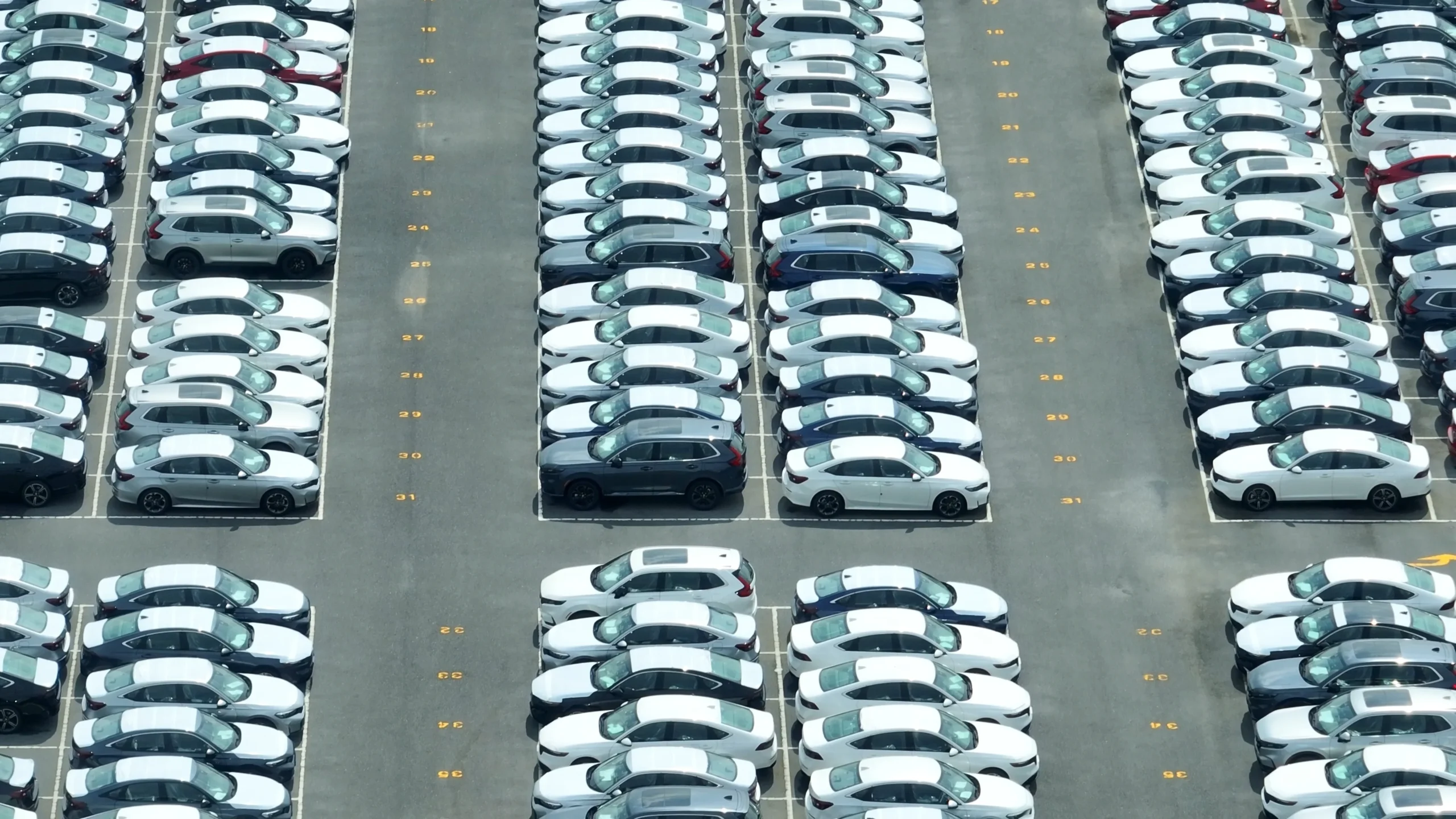 Fleet Insurance New Hampshire